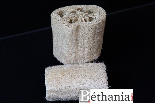 Éponge végétale loofa grande