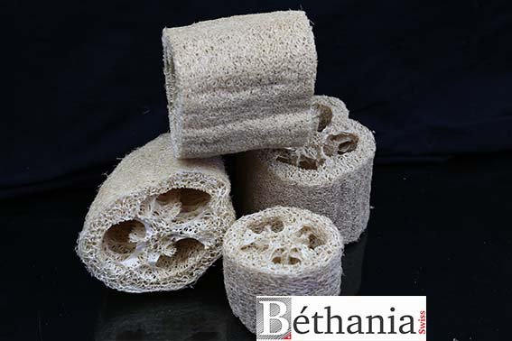 Éponge végétale Loofa, petite