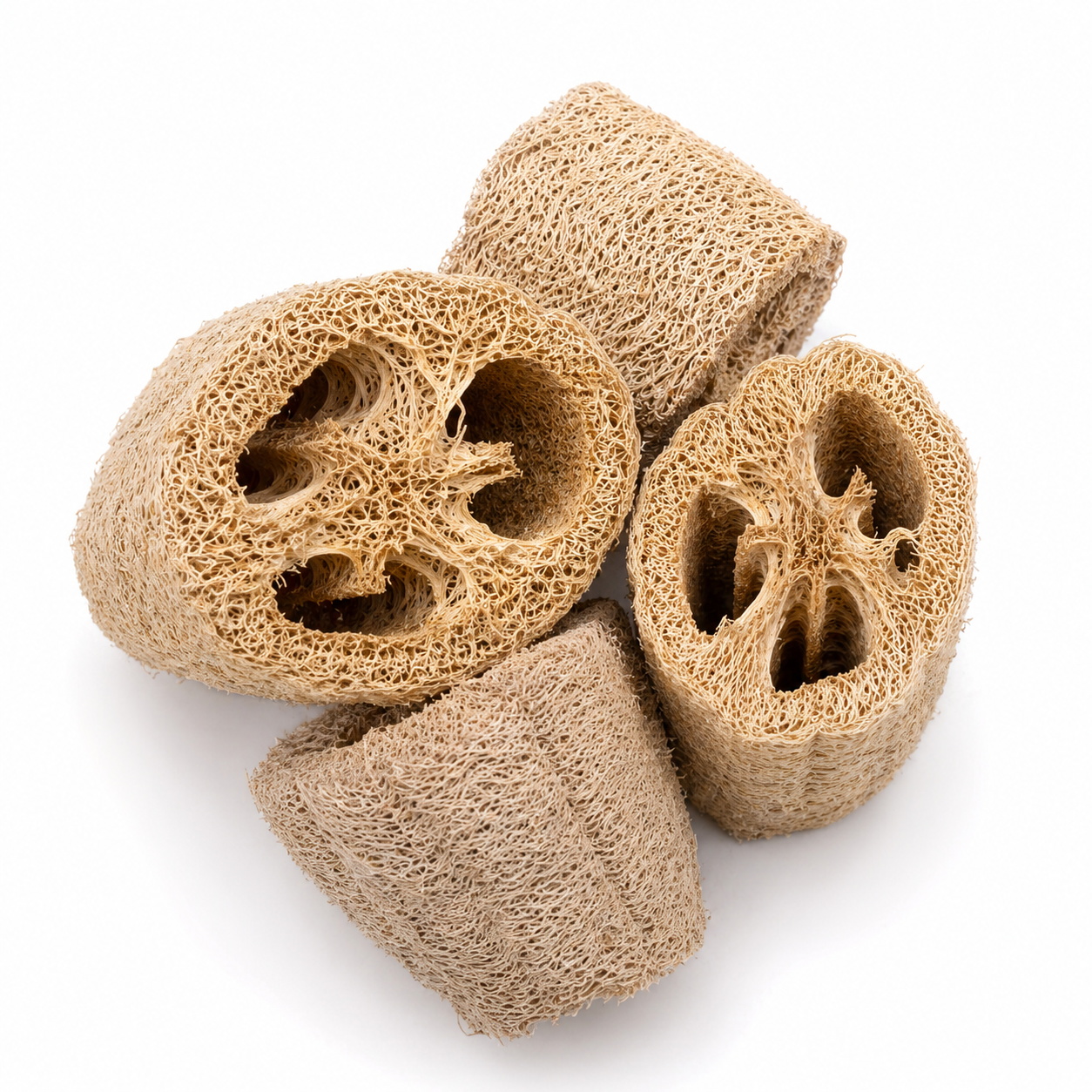 Vegetarische schwamm Loofa